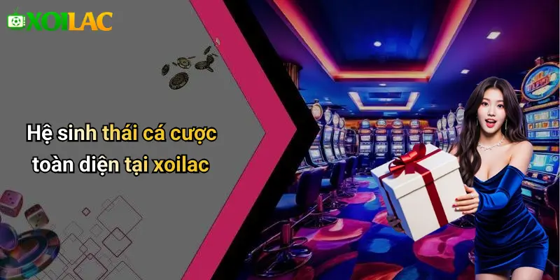 Hệ sinh thái cá cược toàn diện tại xoilac