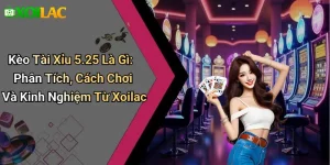 Kèo Tài Xỉu 5.25 Là Gì: Phân Tích, Cách Chơi Và Kinh Nghiệm Từ Xoilac