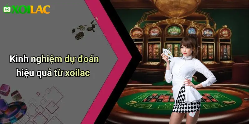 Kinh nghiệm dự đoán hiệu quả từ xoilac