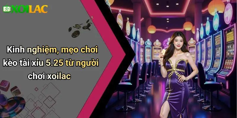 Kinh nghiệm, mẹo chơi kèo tài xỉu 5.25 từ người chơi xoilac