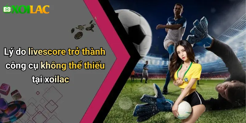 Lý do livescore trở thành công cụ không thể thiếu tại xoilac