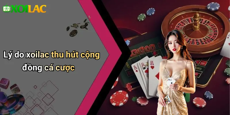 Lý do xoilac thu hút cộng đồng cá cược