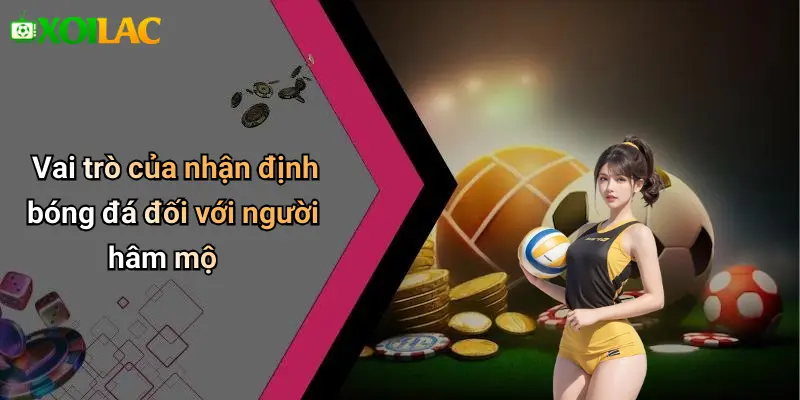 Vai trò của nhận định bóng đá đối với người hâm mộ