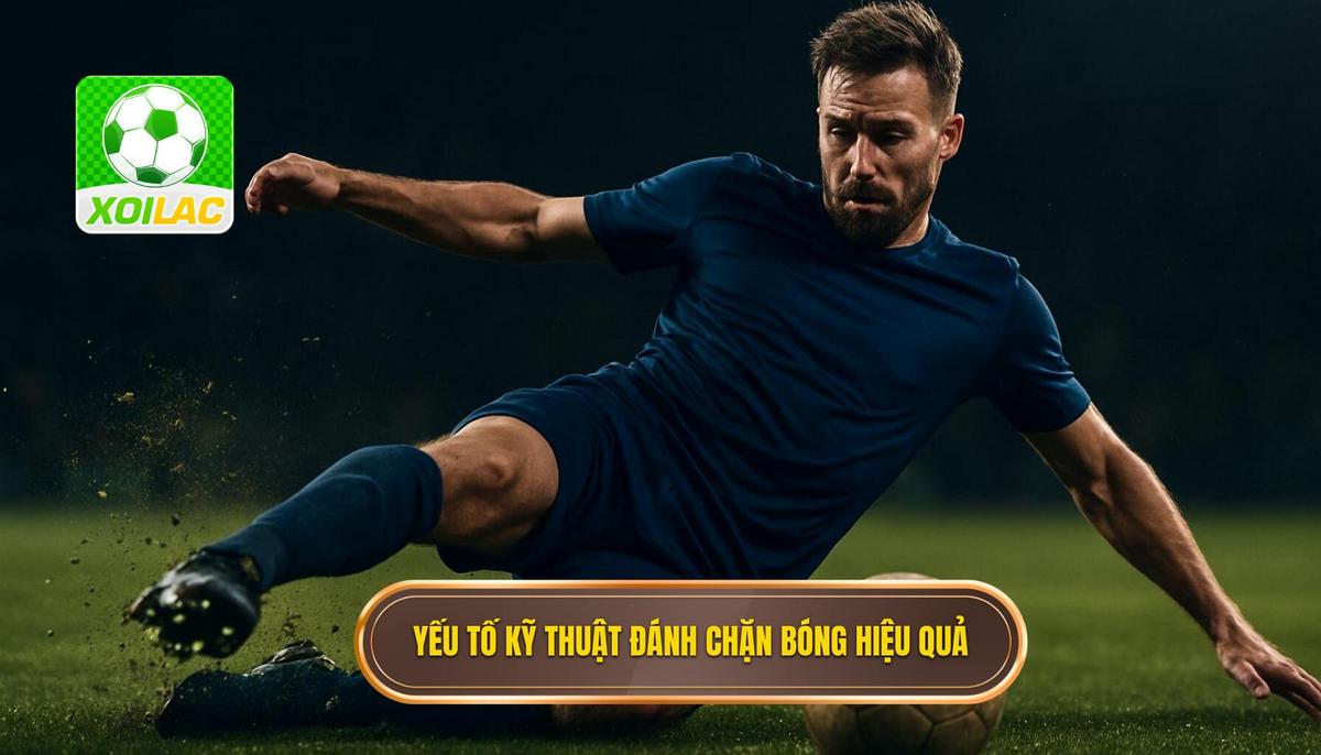 Các yếu tố cấu thành Kỹ thuật đánh chặn bóng đỉnh cao