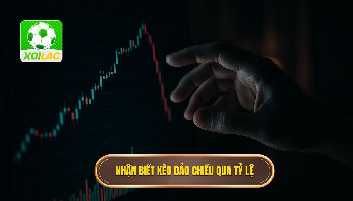 Dấu hiệu nhận biết kèo đảo chiều thông qua biến động tỷ lệ nhà cái