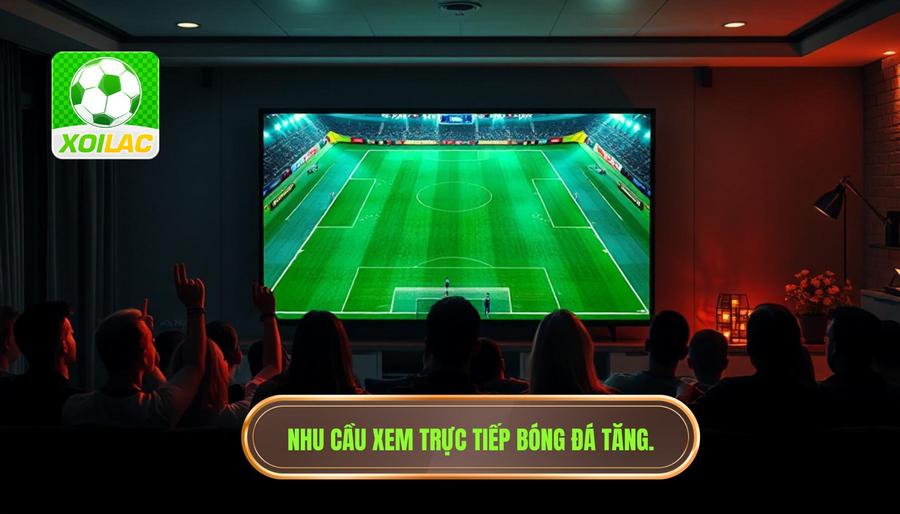 Tại sao nhu cầu xem live trận bóng đá đêm nay ngày càng tăng cao?