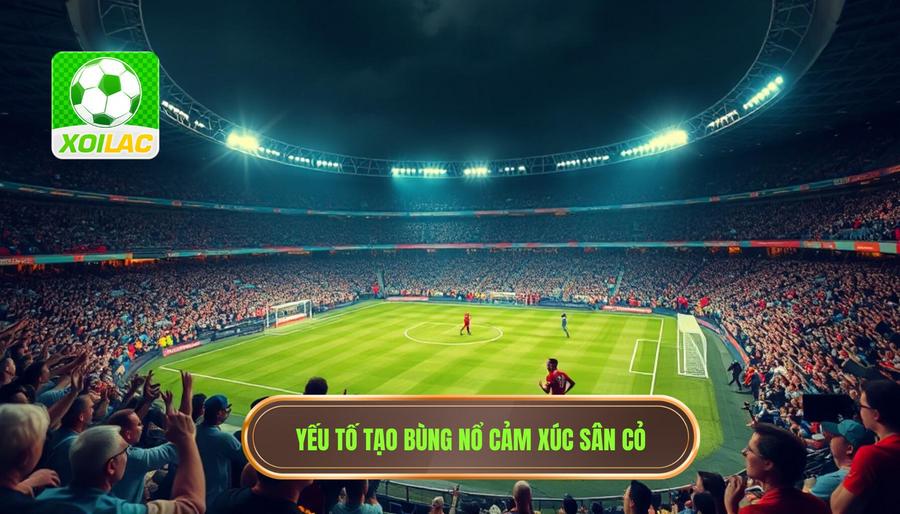 Phân tích đa chiều: Góc khuất đằng sau những vinh quang