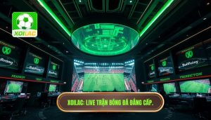 Live trận bóng đá đêm nay: Trải nghiệm không gian sân cỏ rực lửa tại XOILAC
