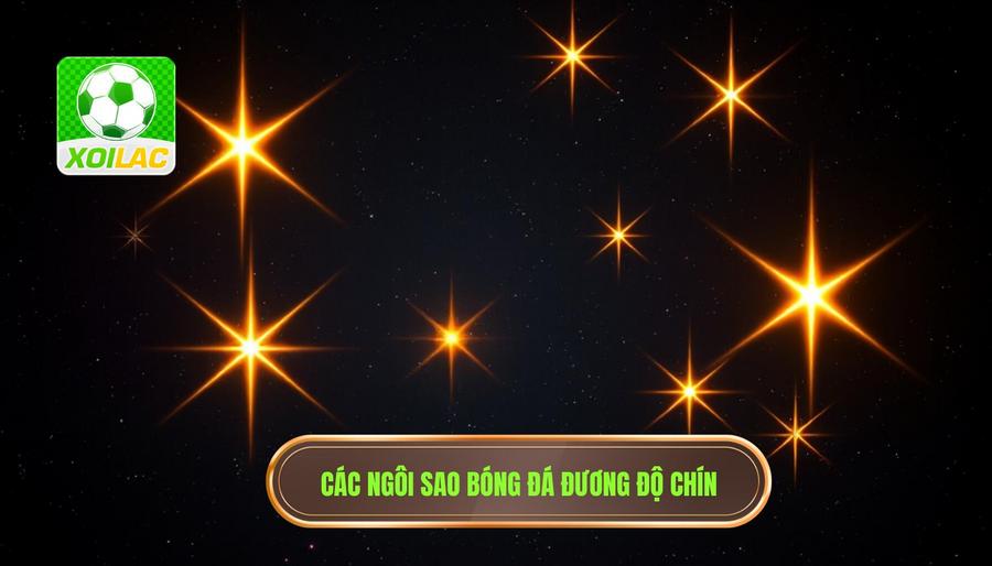 Những ngôi sao đang ở độ chín của sự nghiệp
